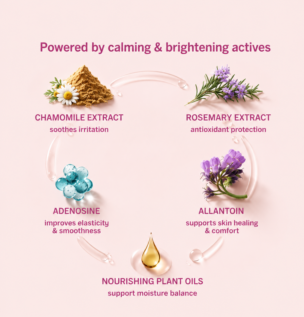 A pink promotional graphic showing four botanical and active ingredients arranged in a circular flow: chamomile extract, rosemary extract, adenosine, and allantoin, with a drop of nourishing plant oil at the bottom. Text describes each ingredient and its benefits.
