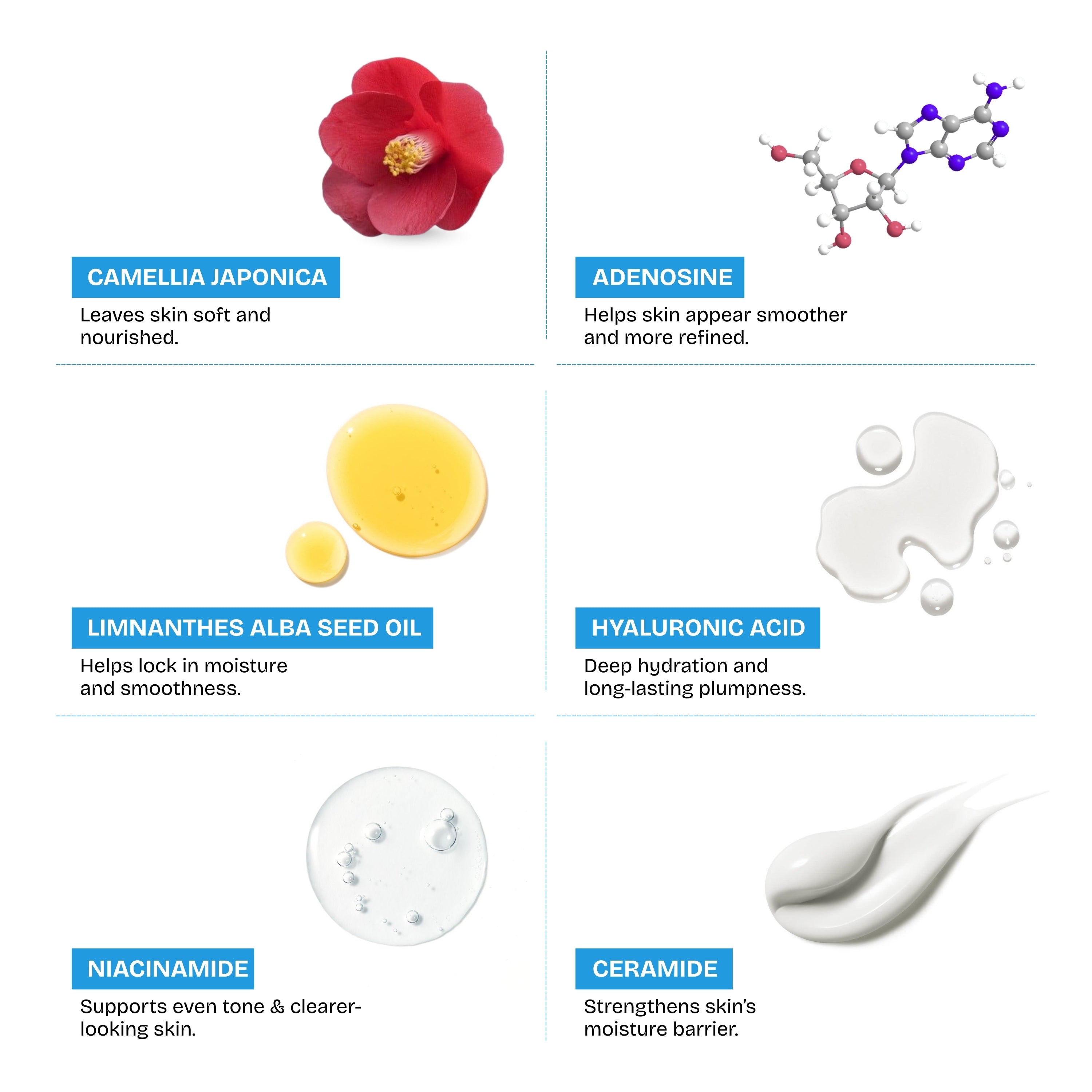 The Dewy Brightening Cream