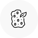 Fermented Ingredients