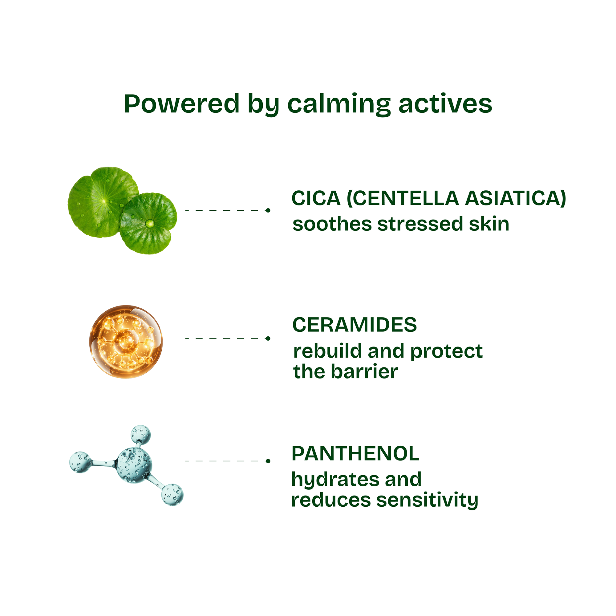 The Cica Soothing & Nurturing Cream